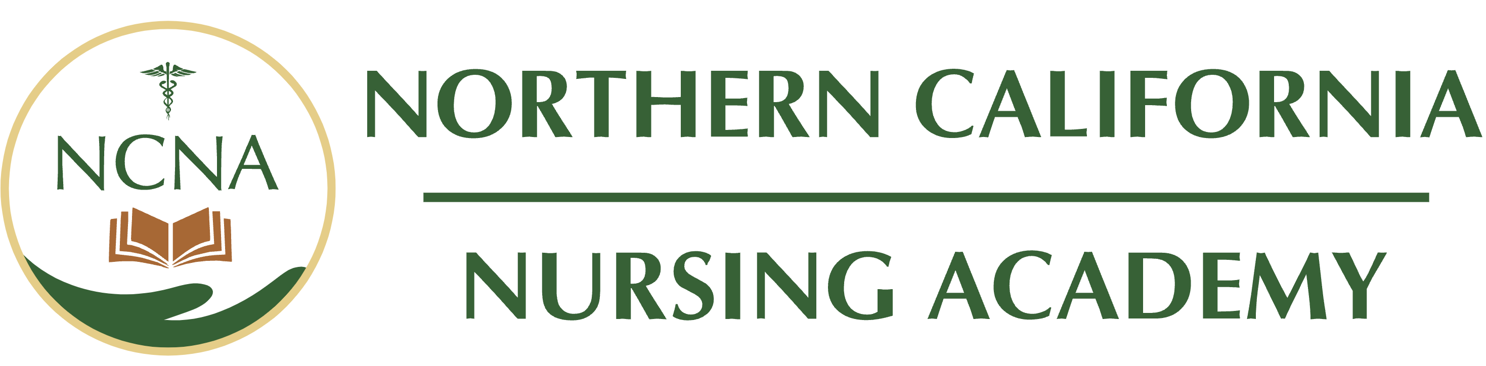 northern cali nursing academy