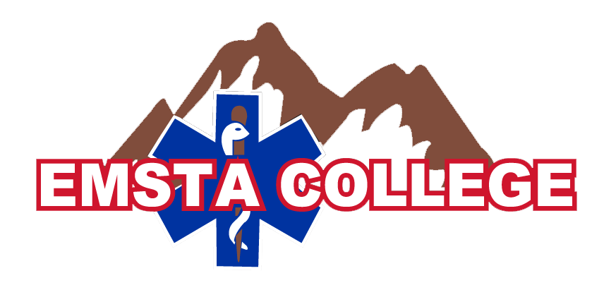 EMSTA-Logo-Current-1 (1)